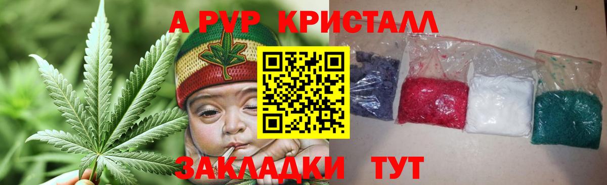 Альфа ПВП СК Таганрог