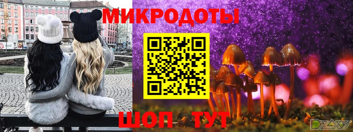 Галлюциногенные грибы GOLDEN TEACHER  Вход с VPN  Таганрог 